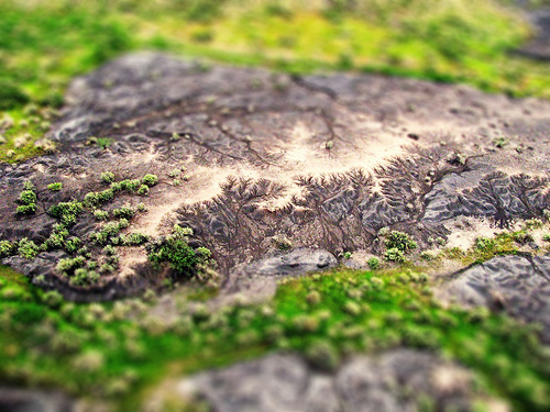 Aerial tilt-shift photograph by BAlvarius