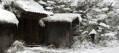 Algorithmic work by Levente Peterffy