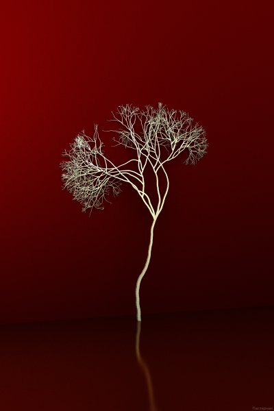 Digital image by Pasternak