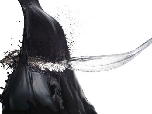 Photograph by Shinishi Maruyama