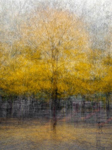 Photograph by Pep Ventosa