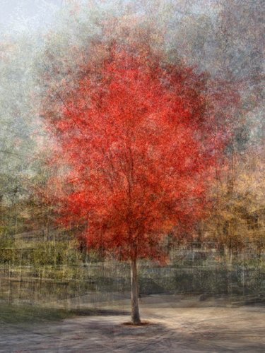 Photograph by Pep Ventosa