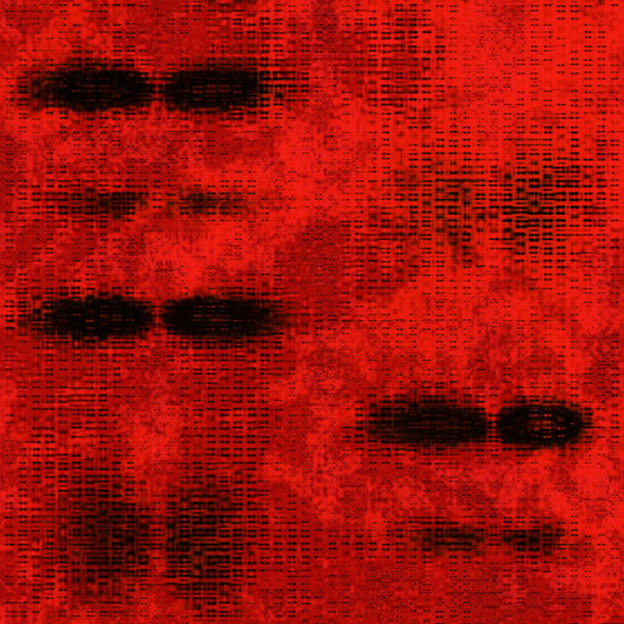 20091122-1, algorithmic artwork by Samuel Monnier