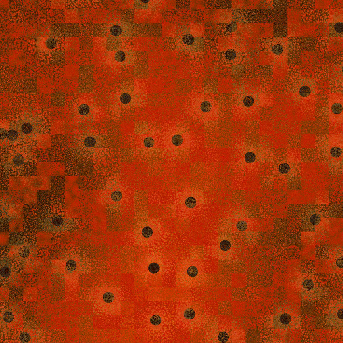 View of the algorithmic world 20091108